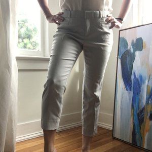 Petite Express Columnist Business Pants Size 6P